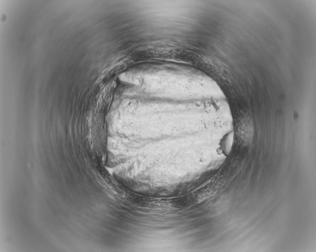 X0000086950715200705071443