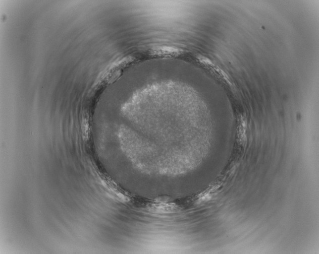 X0000086950716200705071443