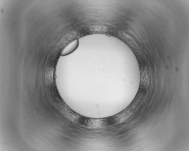 X0000086950717200705071443