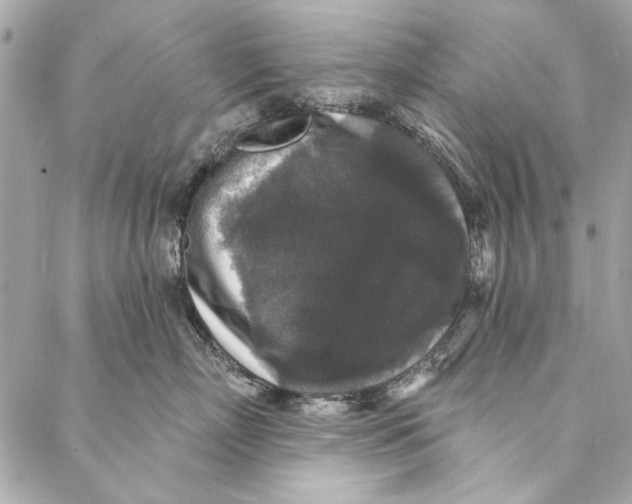 X0000086950718200705071443