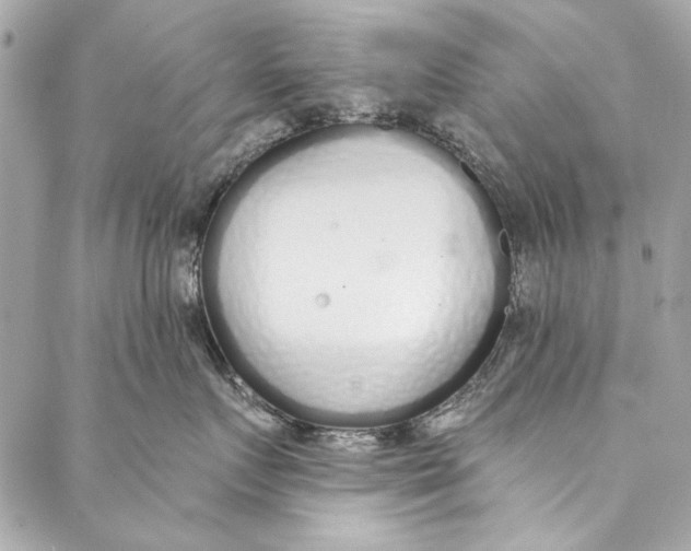 X0000086950719200705071443