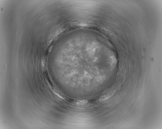 X0000086950720200705071443