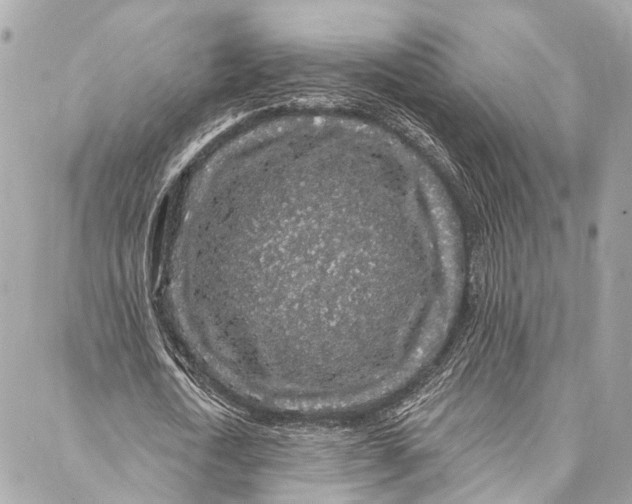 X0000086950722200705071442