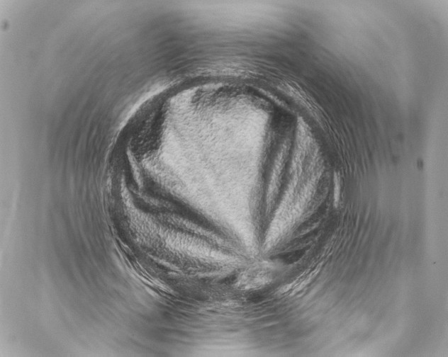 X0000086950723200705071442