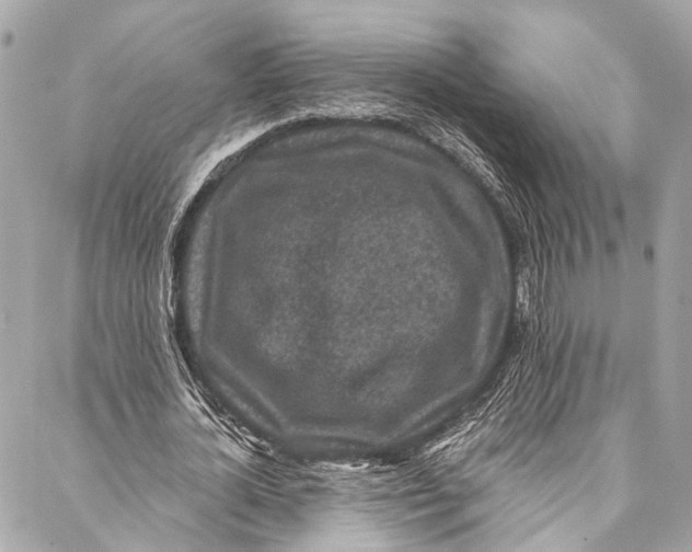 X0000086950724200705071442