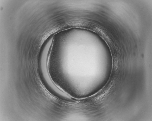 X0000086950725200705071442