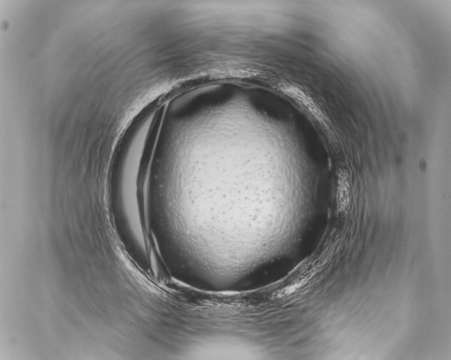 X0000086950726200705071442