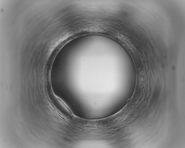 X0000086950727200705071442