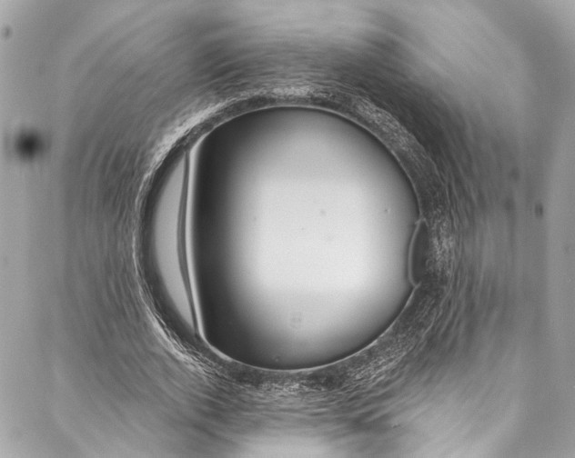 X0000086950728200705071442