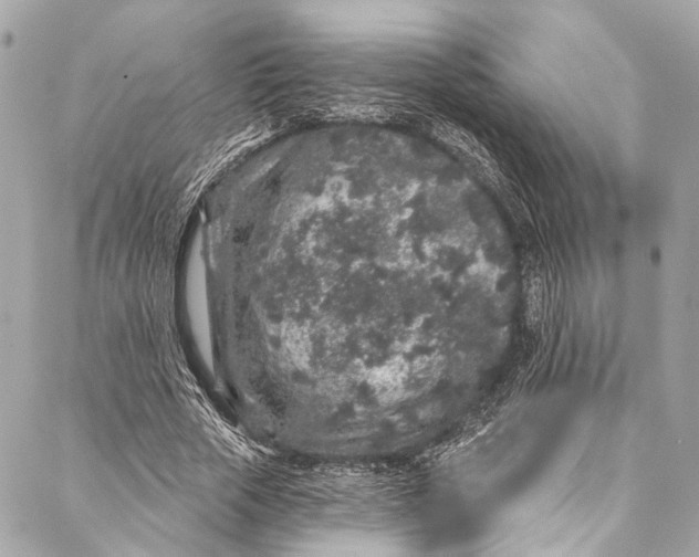 X0000086950729200705071442