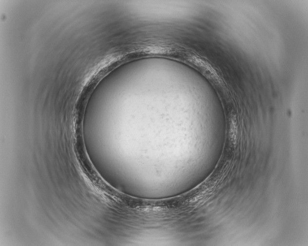 X0000086950730200705071442