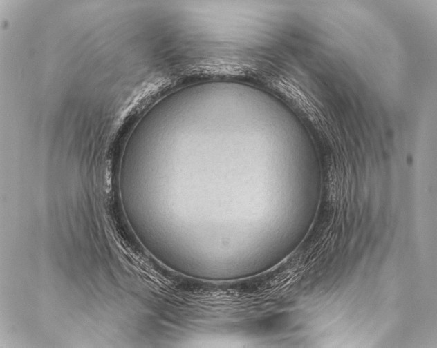 X0000086950731200705071442