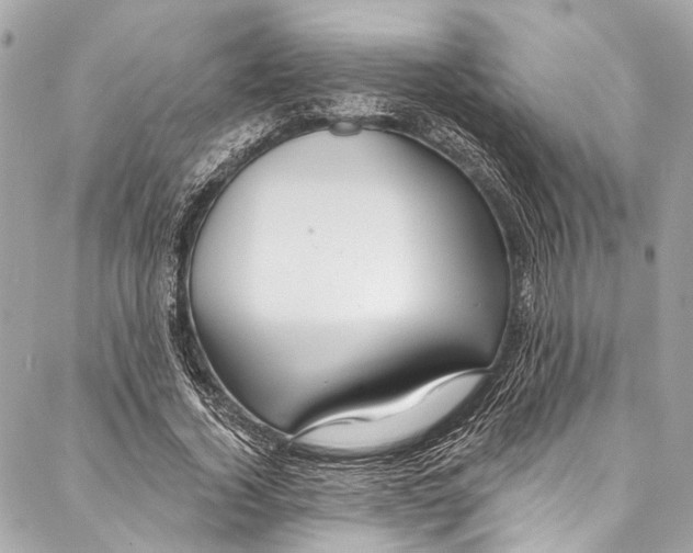 X0000086950732200705071442