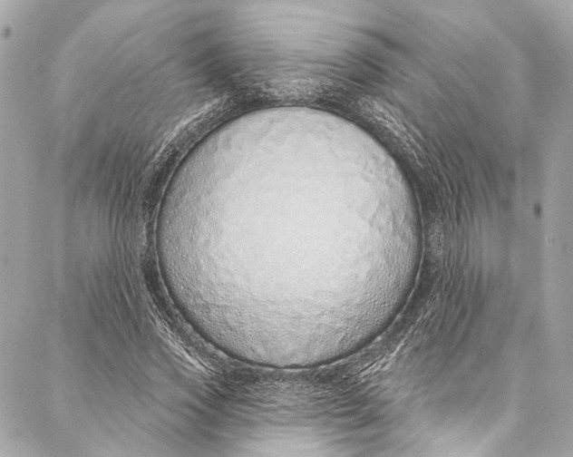 X0000086950733200705071442