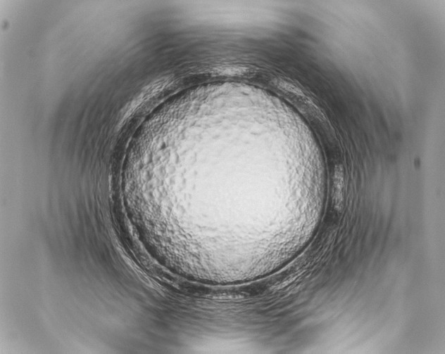 X0000086950734200705071442