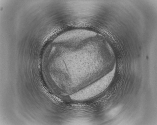 X0000086950735200705071442