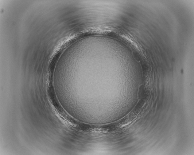 X0000086950736200705071442