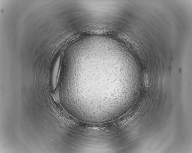 X0000086950737200705071442