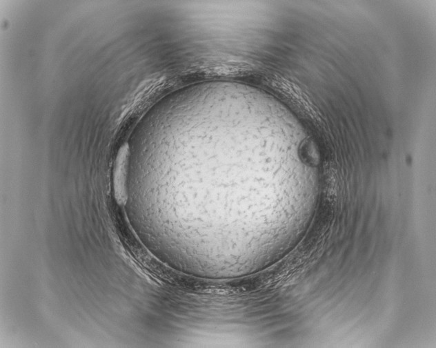 X0000086950738200705071442