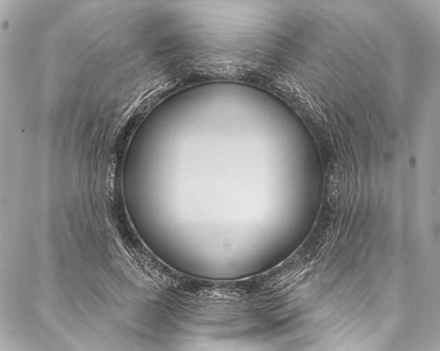 X0000086950739200705071442