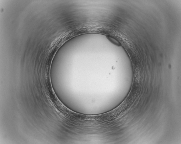 X0000086950740200705071442