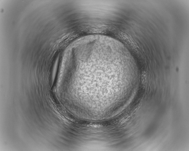 X0000086950741200705071442