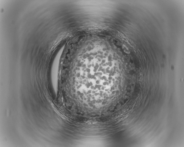 X0000086950742200705071442