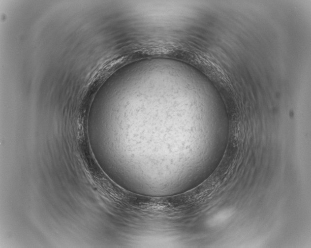 X0000086950743200705071442