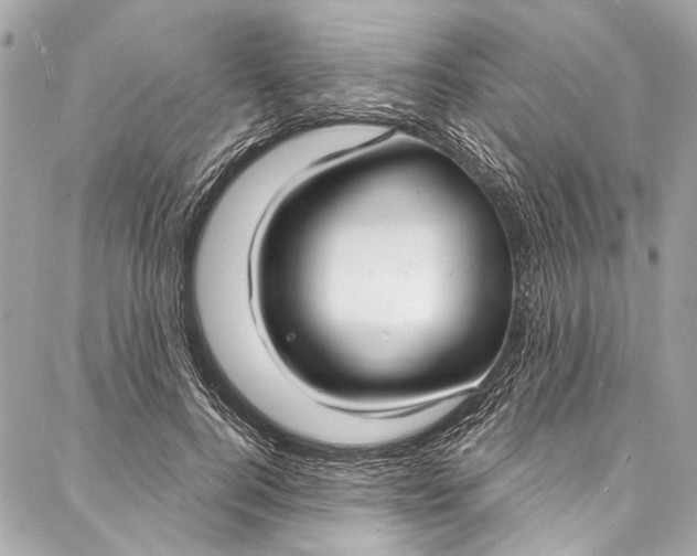 X0000086950744200705071442