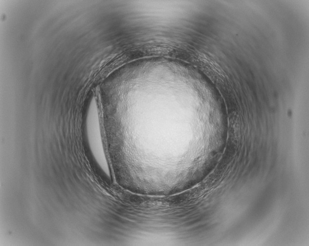 X0000086950745200705071443