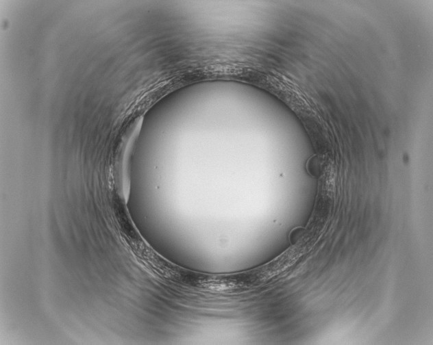 X0000086950746200705071443