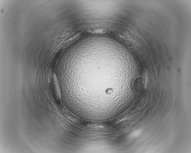 X0000086950747200705071443