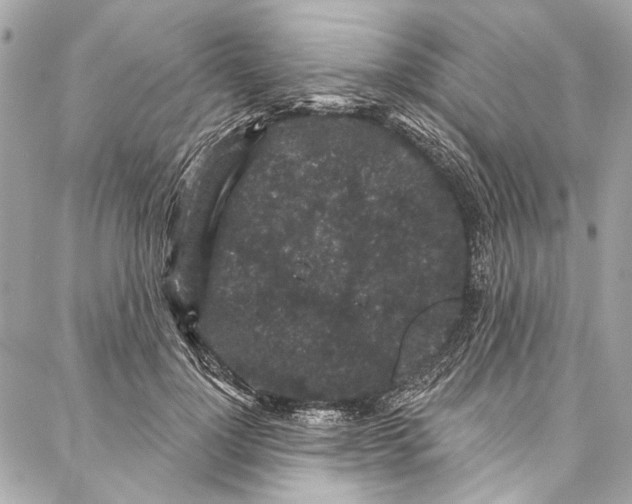 X0000086950748200705071443