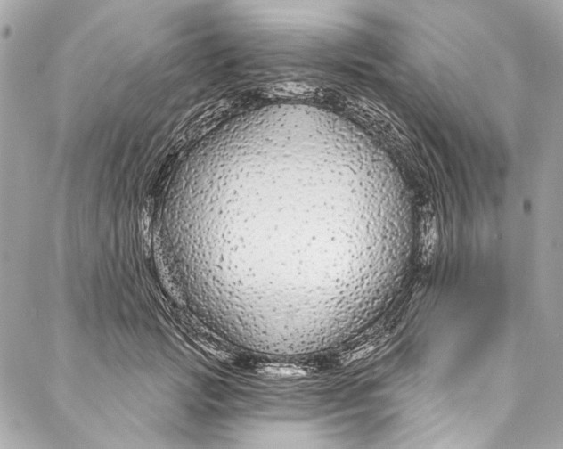 X0000086950749200705071443