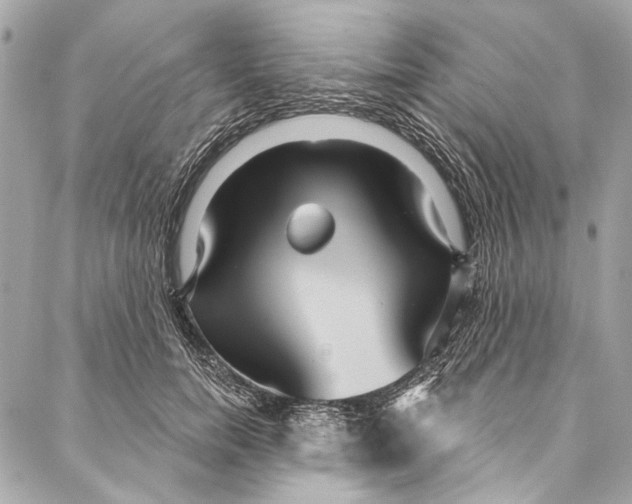 X0000086950750200705071443