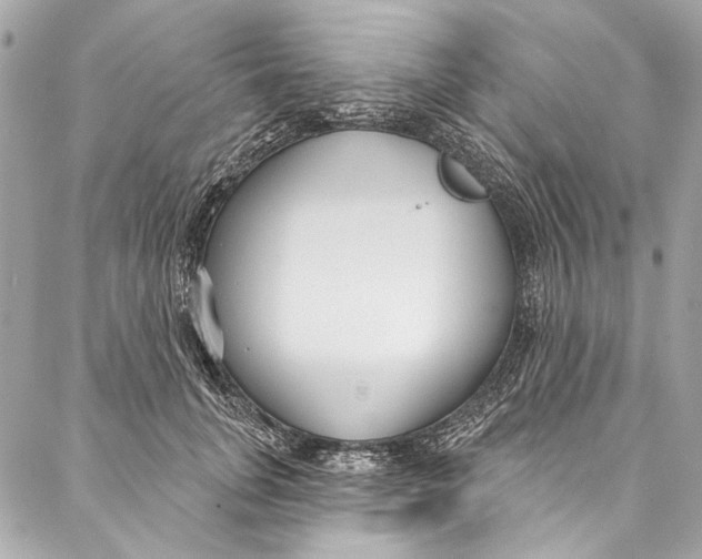 X0000086950751200705071443