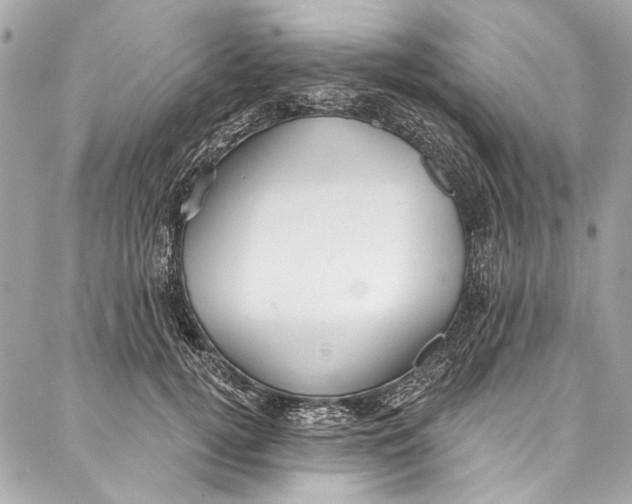 X0000086950752200705071443