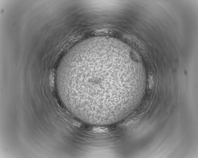 X0000086950753200705071443