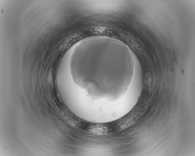 X0000086950754200705071443