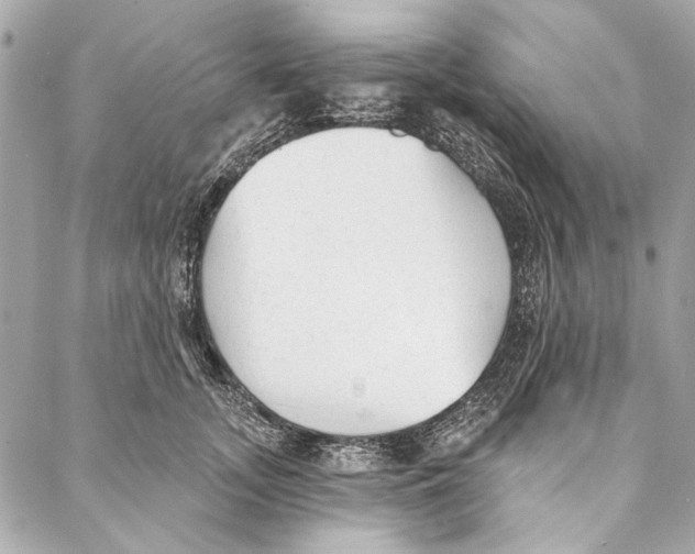 X0000086950755200705071443