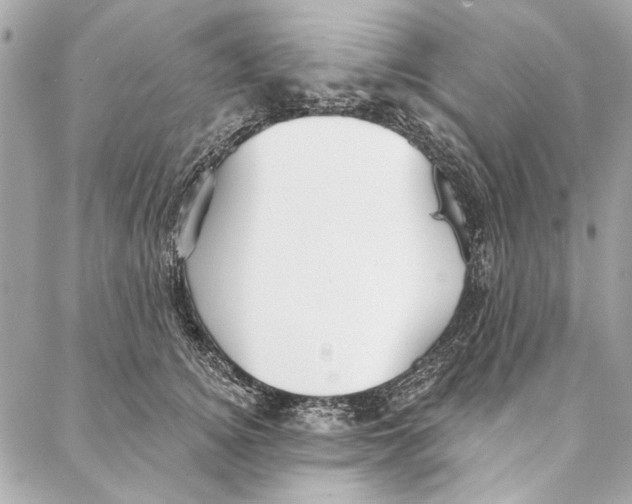 X0000086950756200705071443