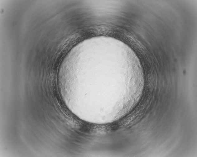 X0000086950757200705071443