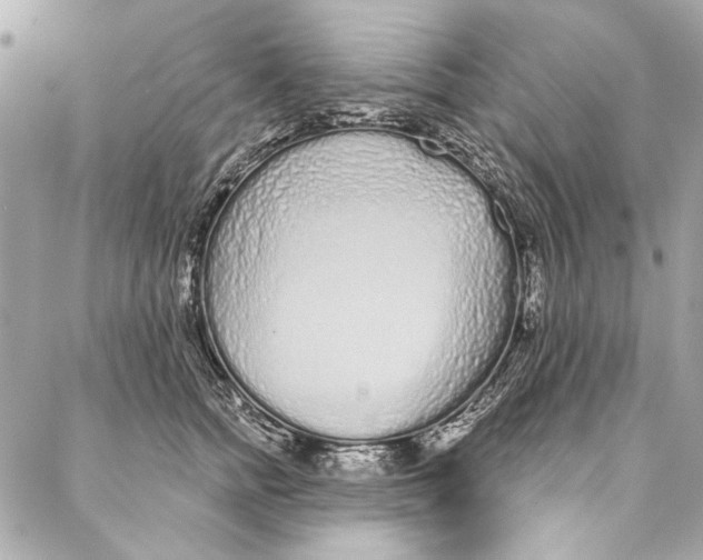 X0000086950758200705071443