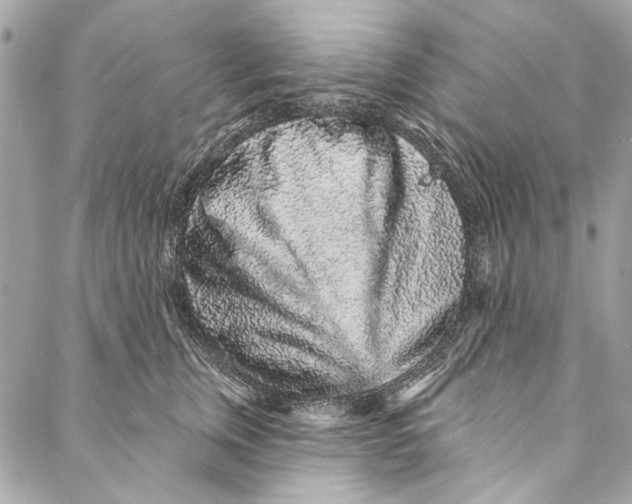 X0000086950759200705071443