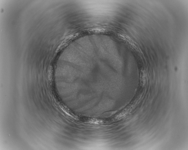 X0000086950760200705071443