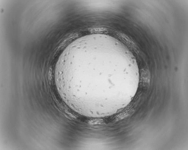 X0000086950761200705071443