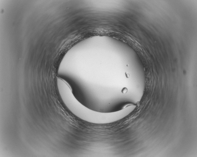 X0000086950762200705071443