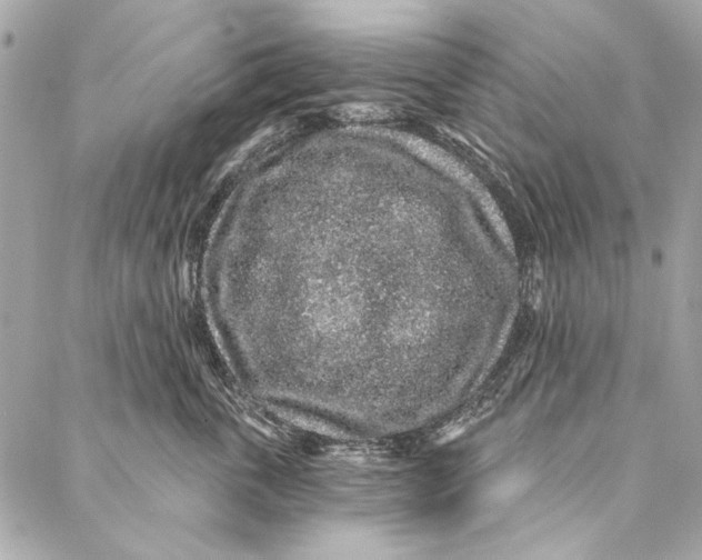 X0000086950763200705071443