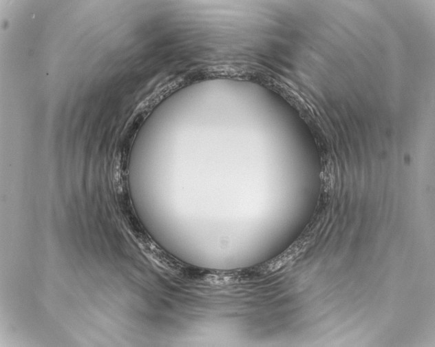 X0000086950764200705071443