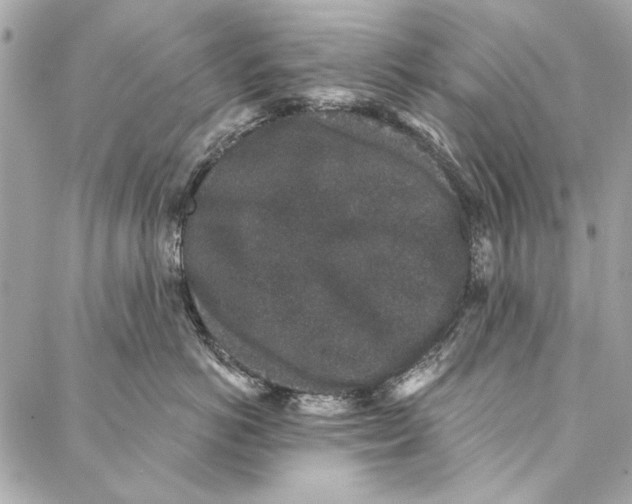 X0000086950766200705071443